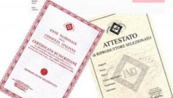Riproduzione selezionata: domande on line su enci.it